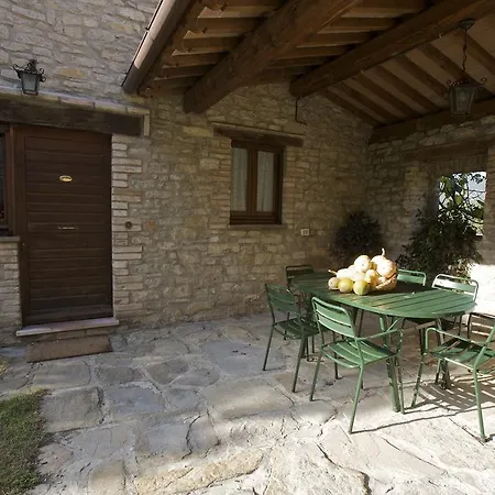 Brigolante Guest