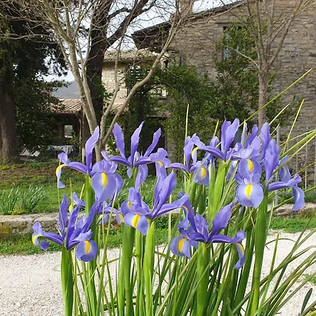 Country house Brigolante Guest *